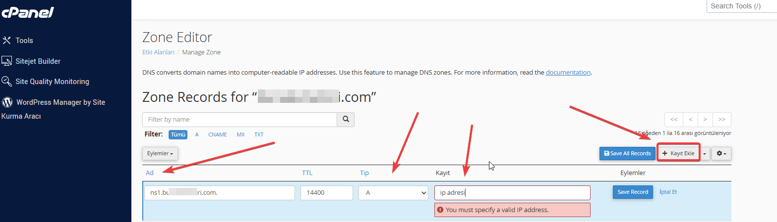 cPanel NS1 NS2 A Kaydı