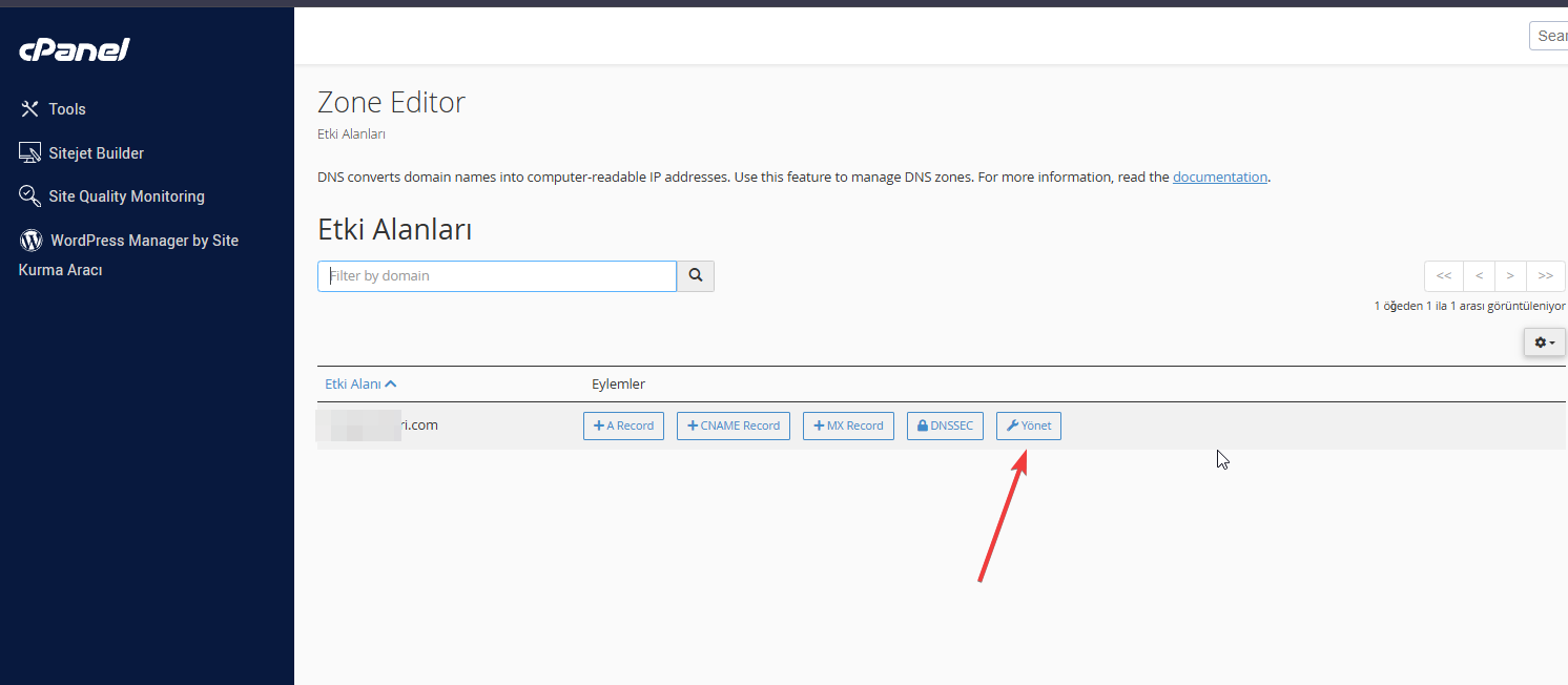 cPanel DNS Yönetimi